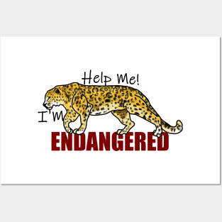 Help the endangered Amur Leopard Posters and Art